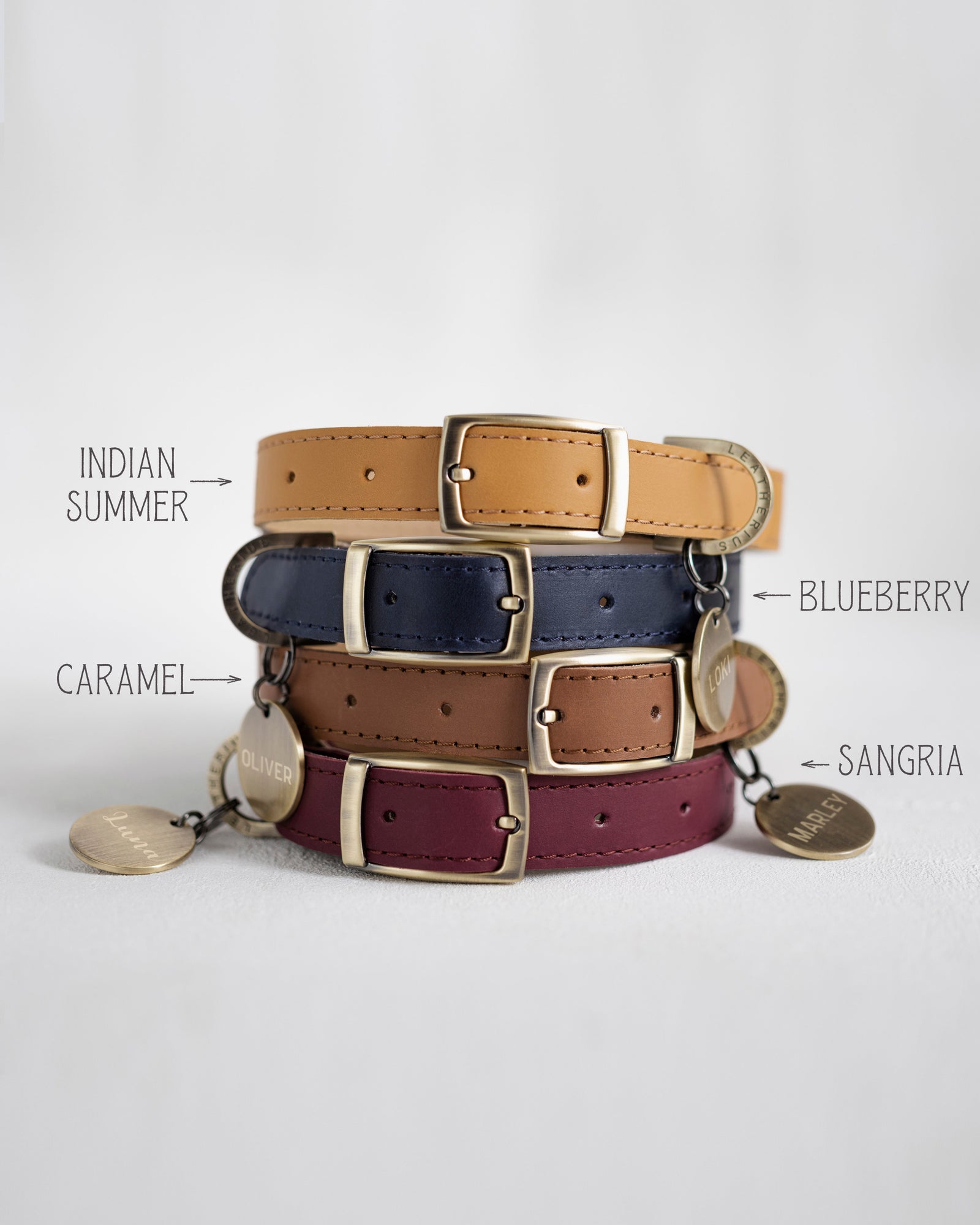 Custom leather dog collar for boys