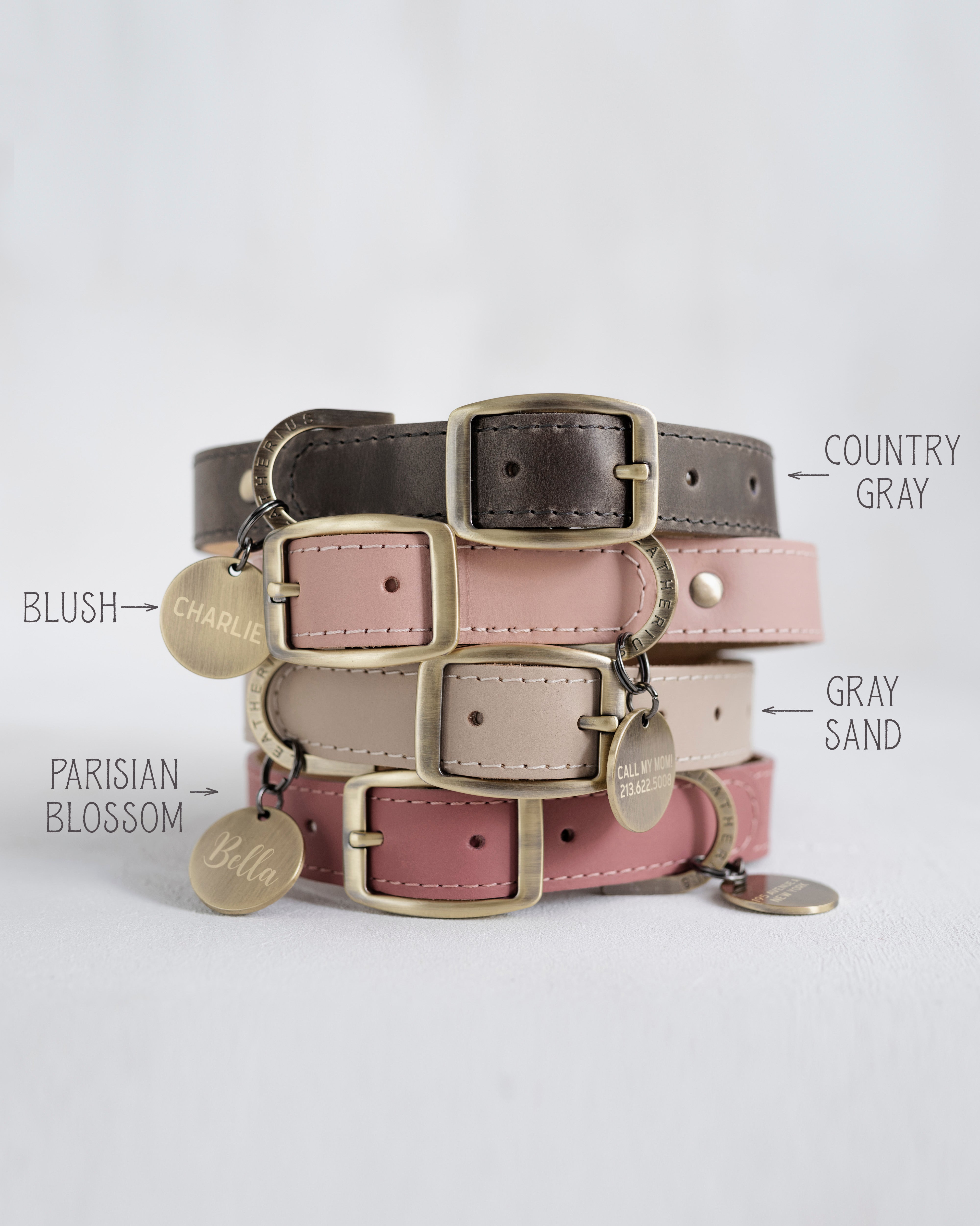 Personalized leather dog collar with name tag