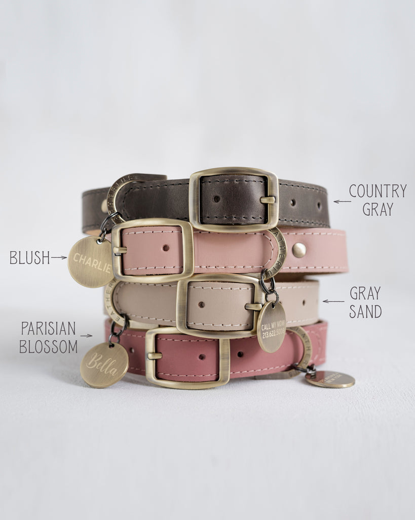 Personalized leather dog collar with name tag