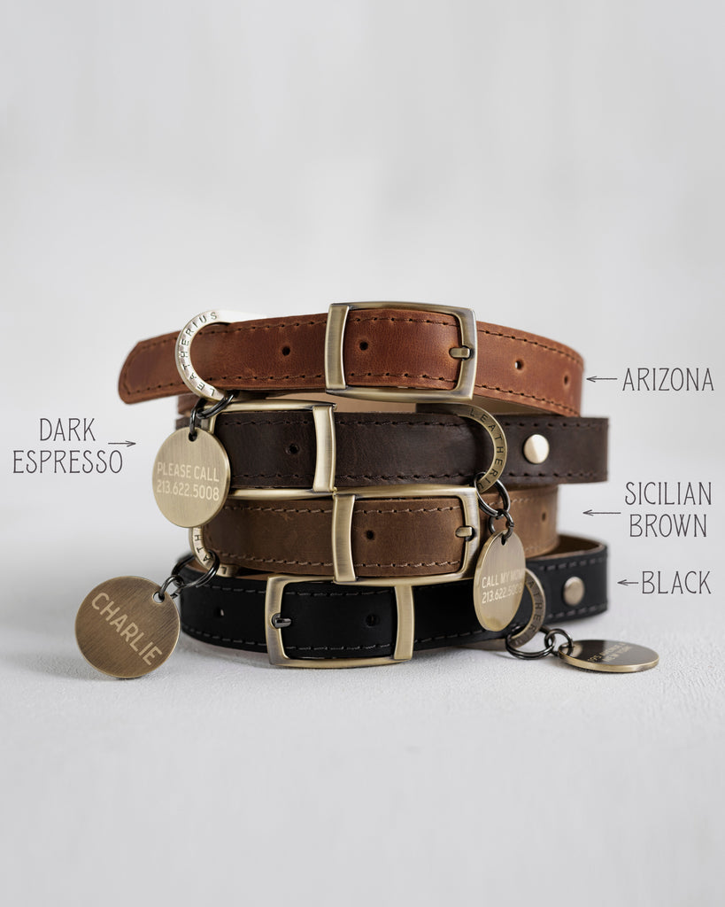 Personalized leather collar in variety of colors