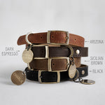 Custom leather dog collar for boys