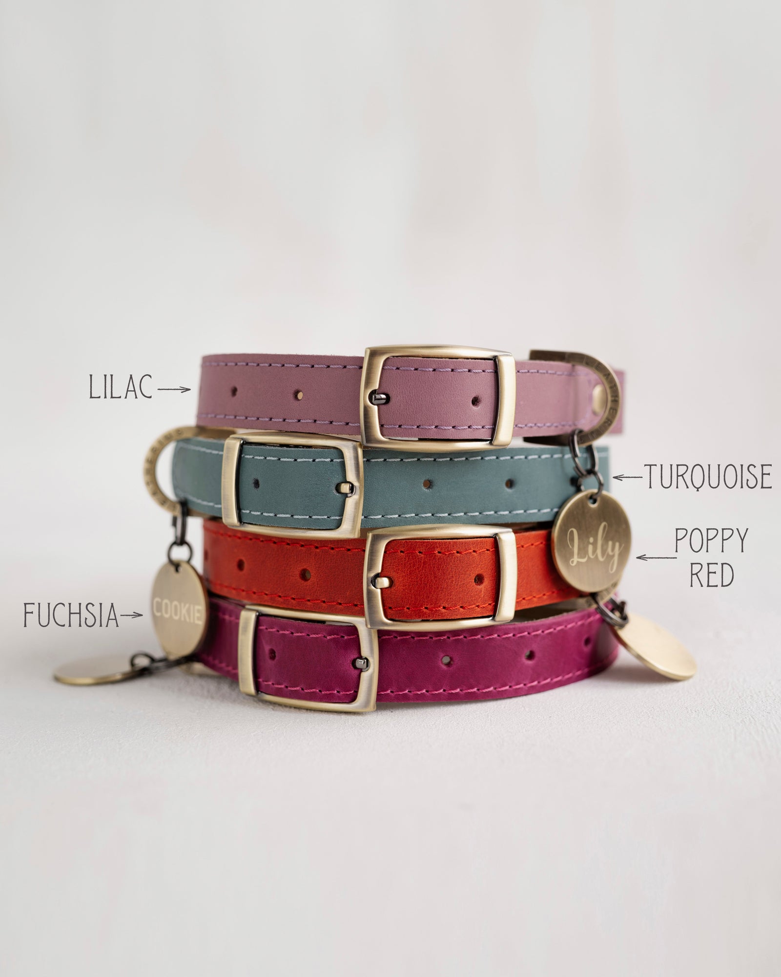 Personalized leather dog collar in soft super comfy leather