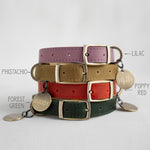 Personalized leather dog collar in soft super comfy leather