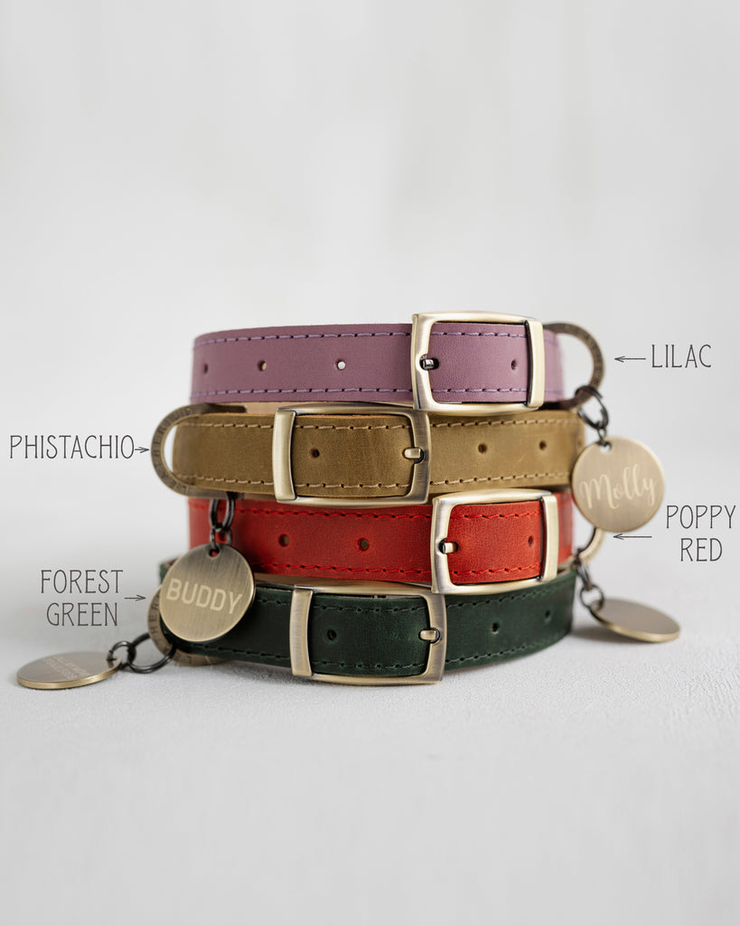 Personalized leather dog collar with name tag