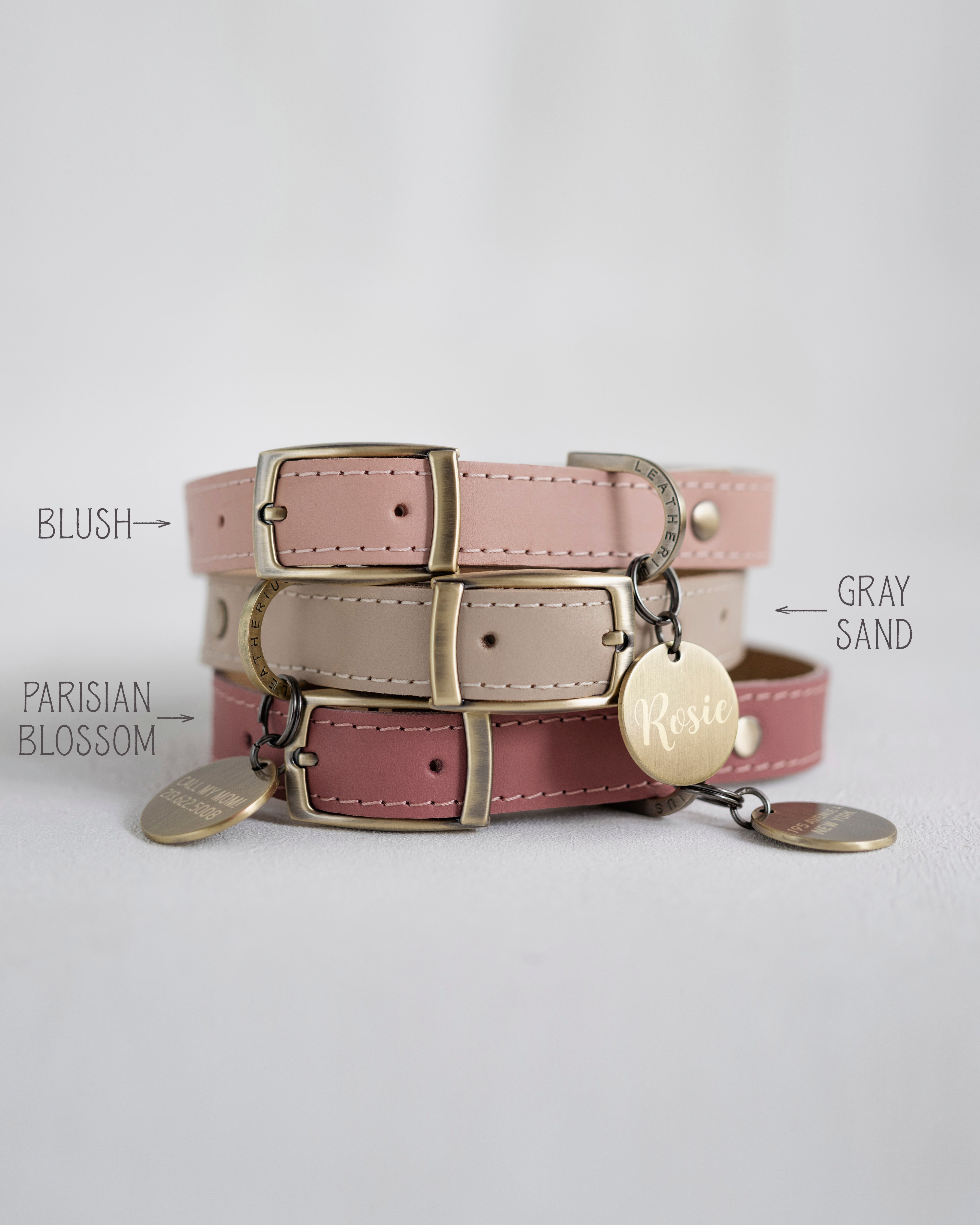 Personalized leather dog collar with name tag