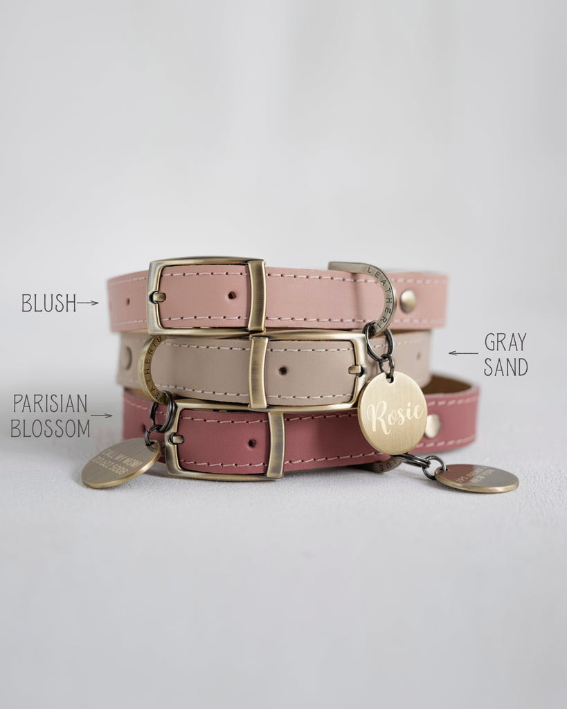 Leather dog collar with name