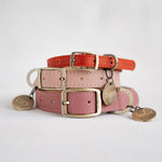 Personalized leather dog collar in soft super comfy leather