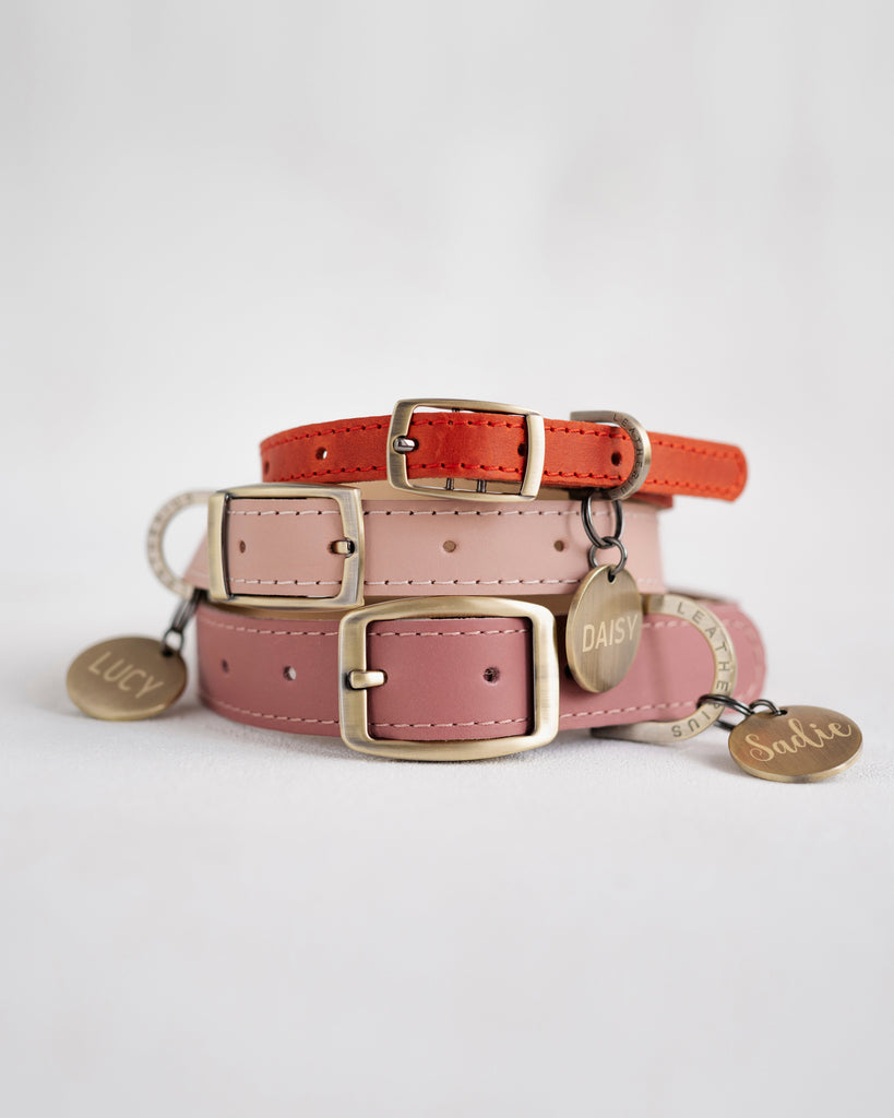 Personalized leather collar in variety of colors