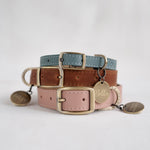 Personalized leather dog collar in soft super comfy leather