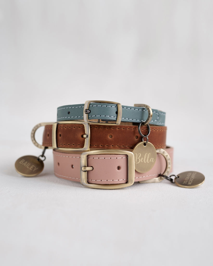 Personalized leather collar in variety of colors