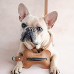 Personalized Leather Dog Harness finished by hand