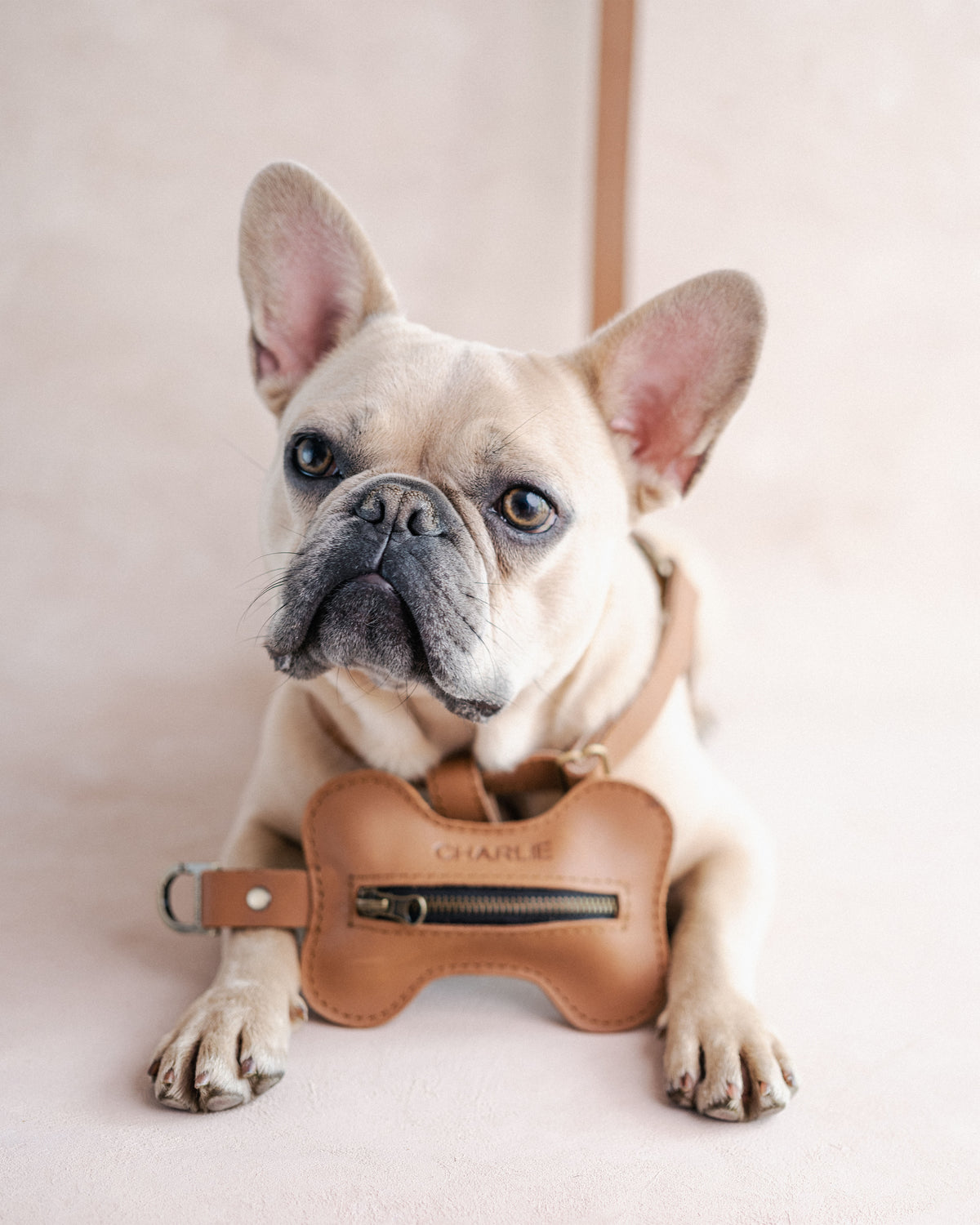 Personalized Leather Dog Harness finished by hand