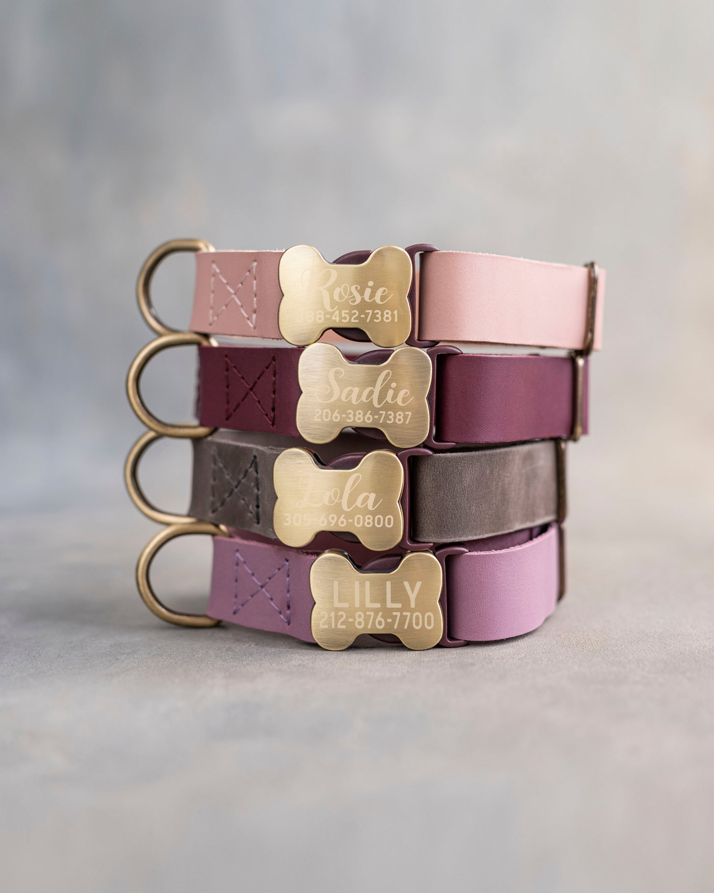 Leather Dog Collar With Bone-Shaped Buckle