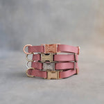 Dusty Pink dog collars in Parisian Blossom full-grain leather, 5/8 in wide, with engraved quick release buckles in four finishes