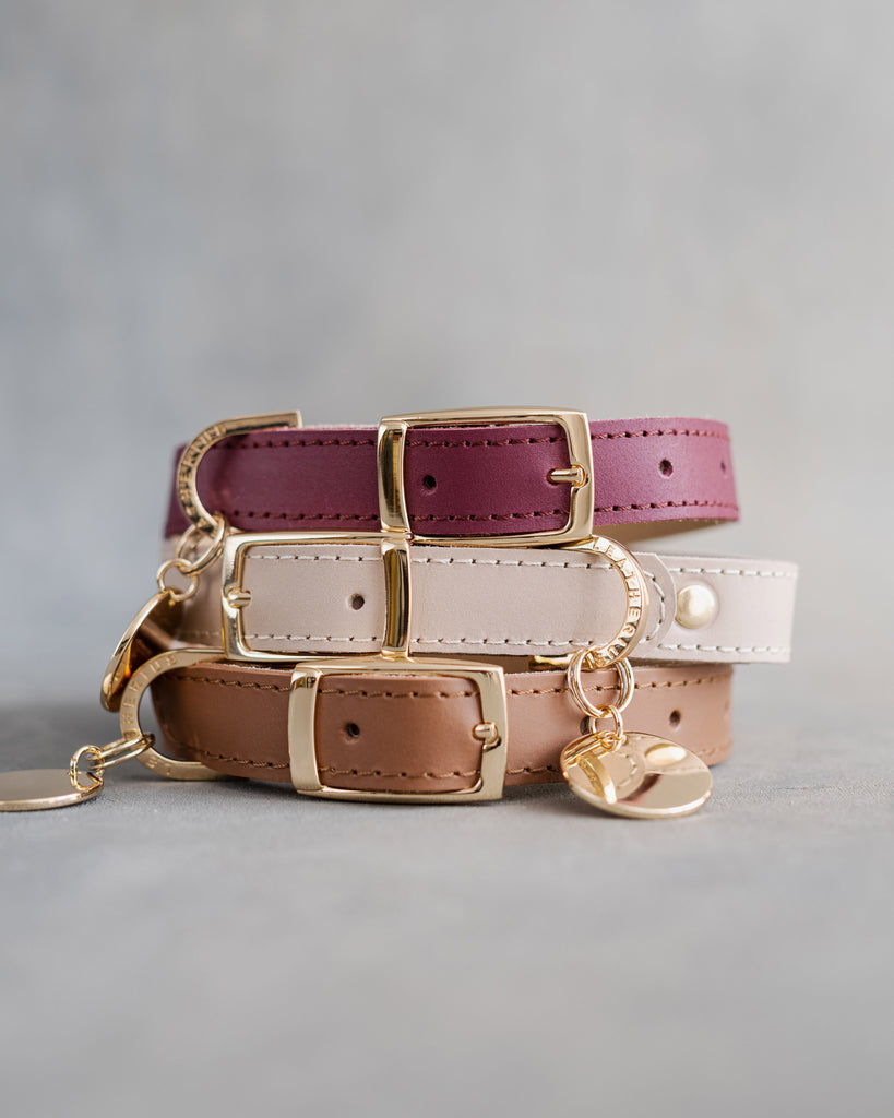 Custom leather dog collar for girls