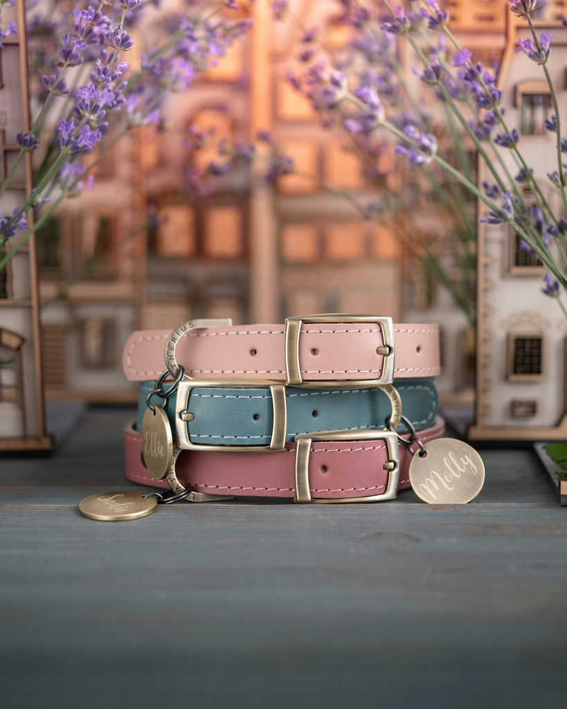 Personalized leather dog collar in Lavender Provence style