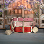 Personalized leather dog collar in Lavender Provence style