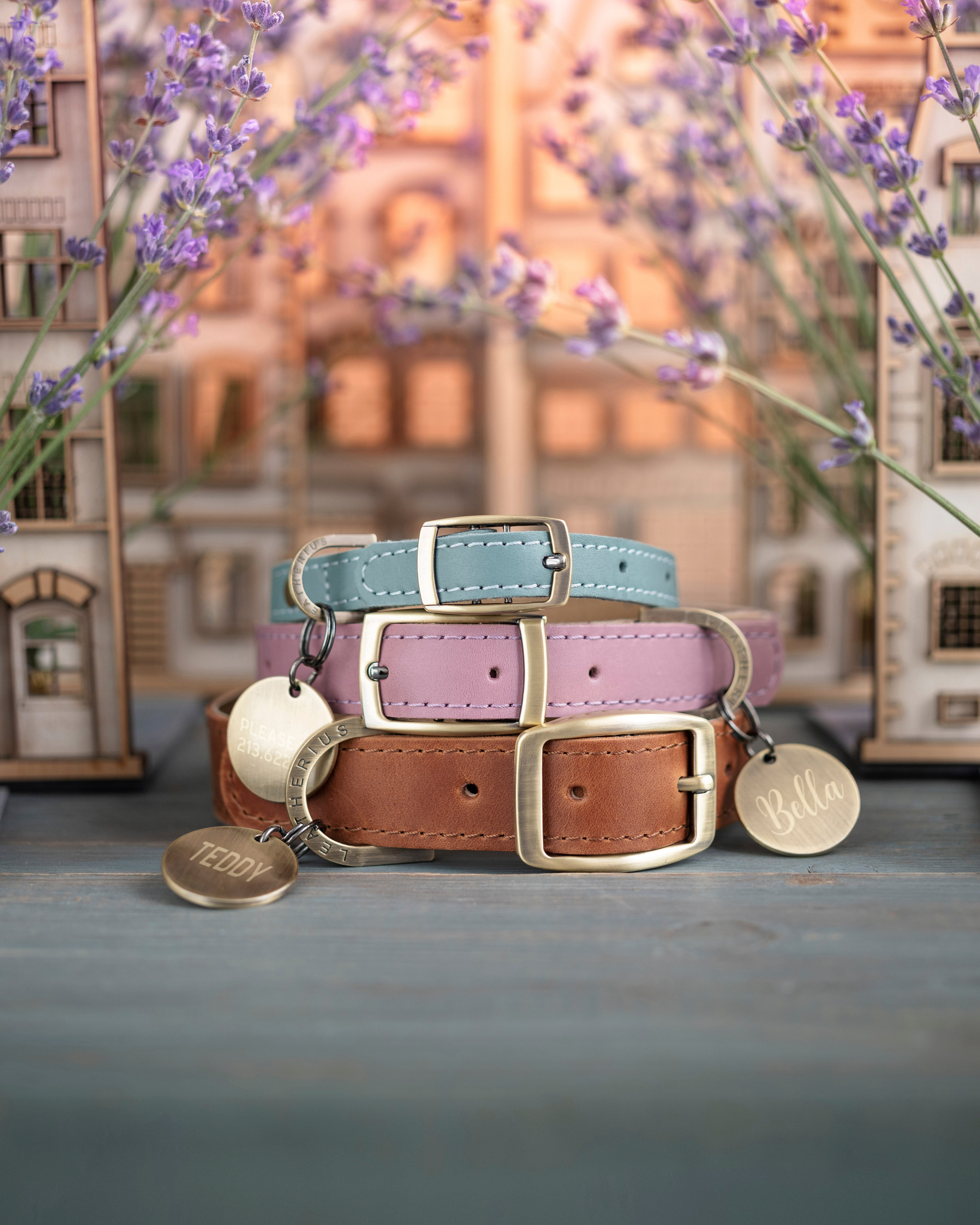 Personalized leather dog collar in Lavender Provence style