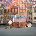 Personalized leather dog collar in Lavender Provence style