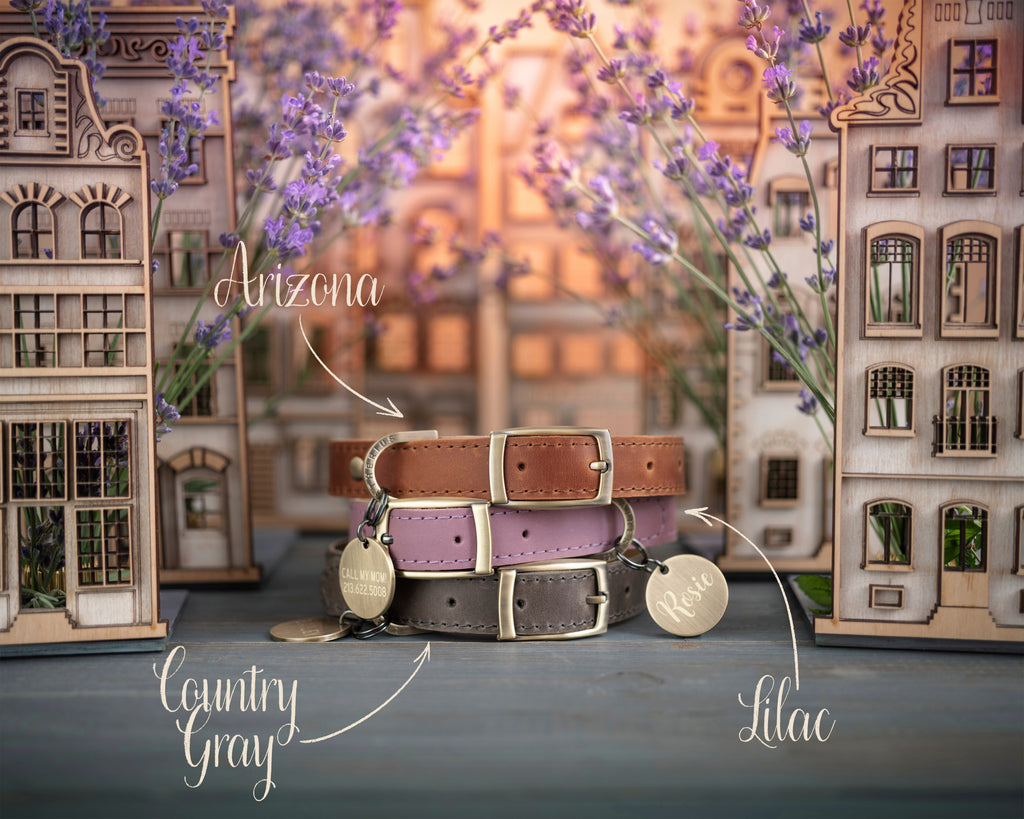 Personalized leather dog collar in Lavender Provence style