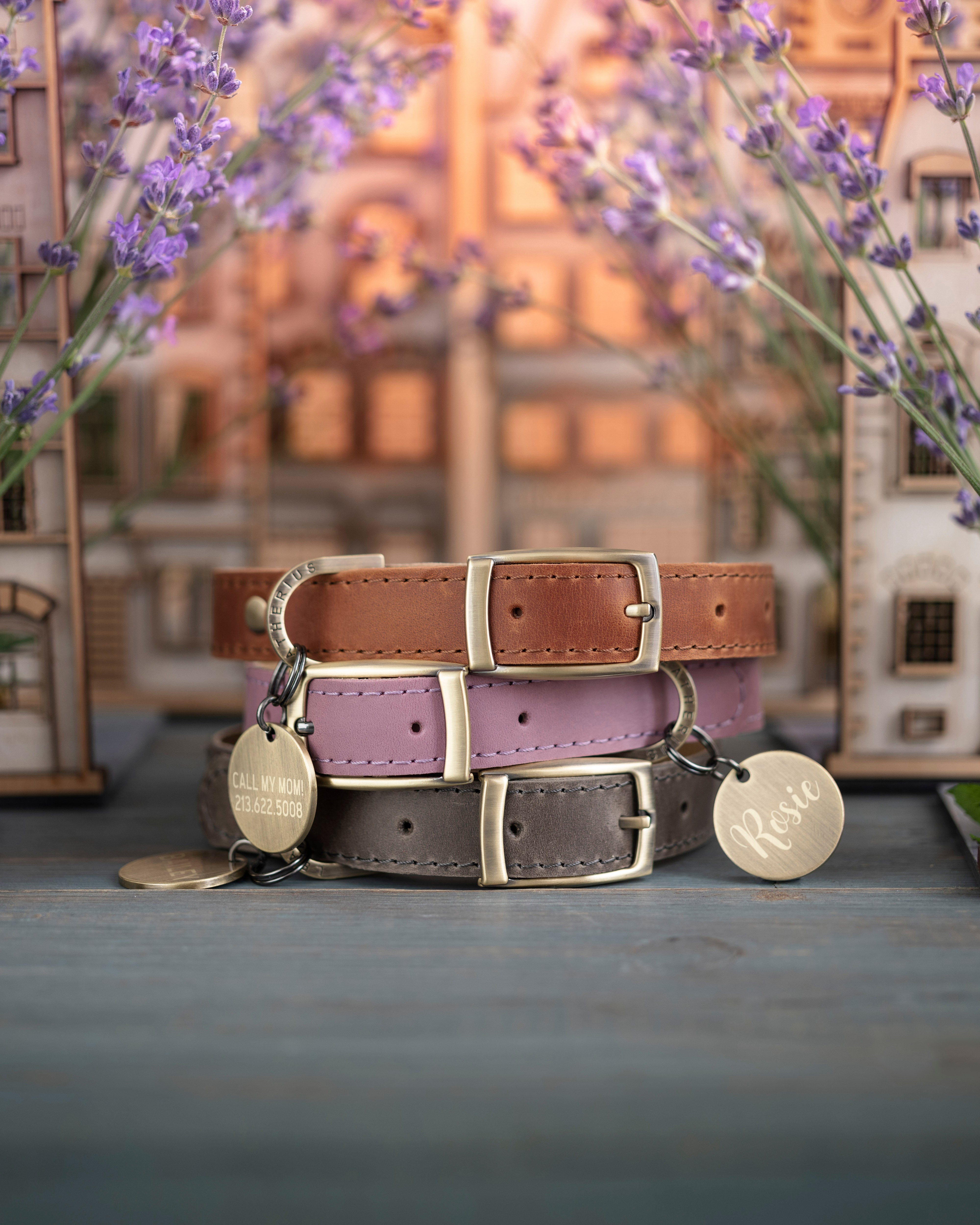 Personalized leather dog collar in Lavender Provence style