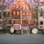 Personalized leather dog collar in Lavender Provence style