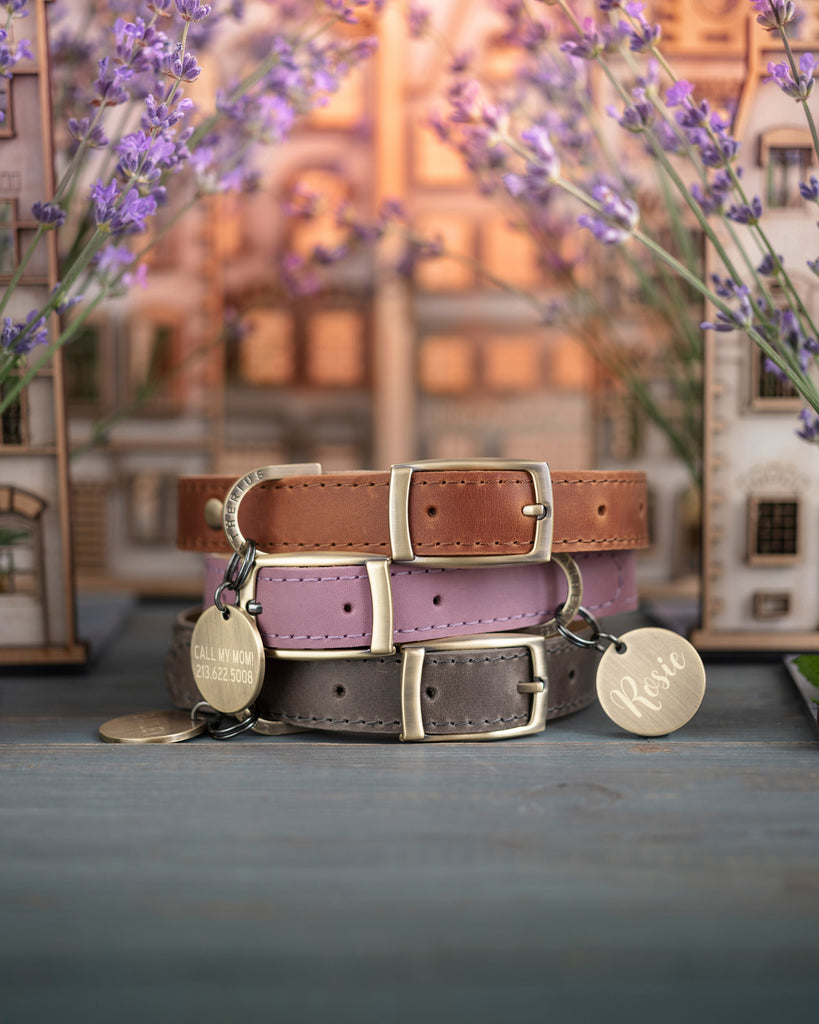 Personalized leather dog collar in Lavender Provence style