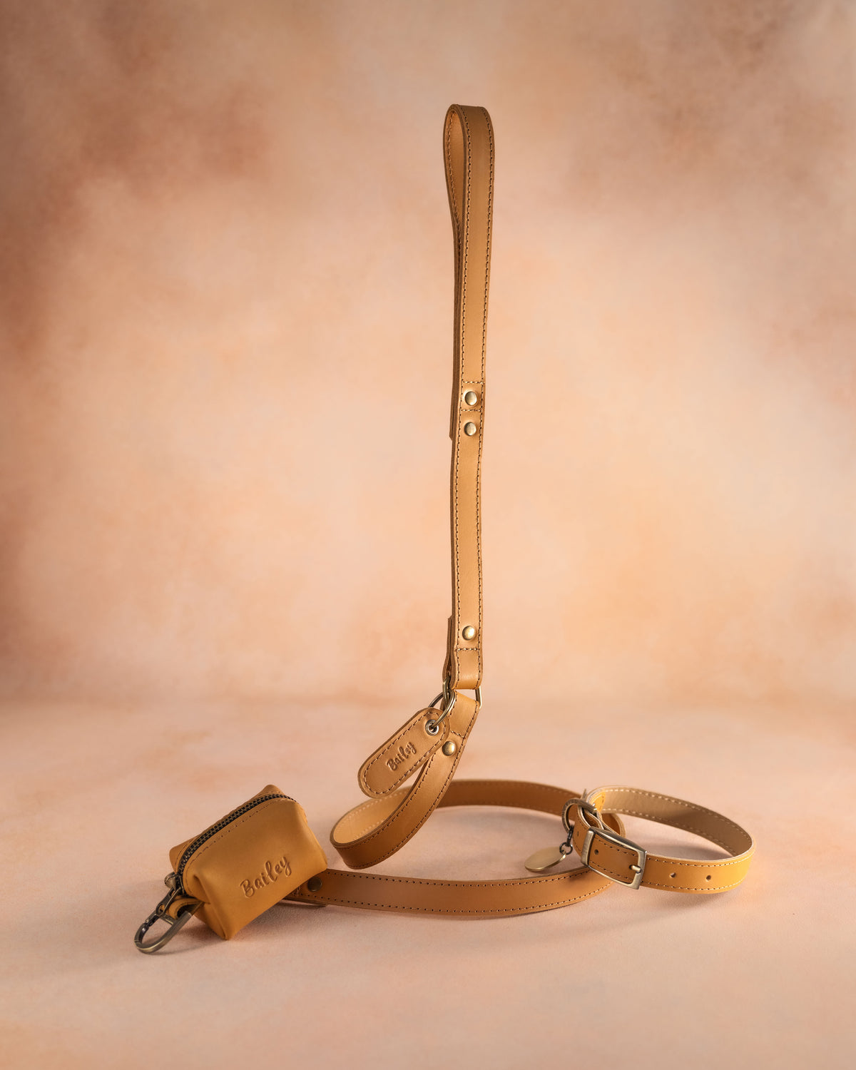Leather Dog Collar with classic belt buckle with hand-finished detailing