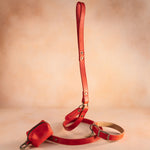 Dog Collar in Poppy Red leather with classy pin buckle