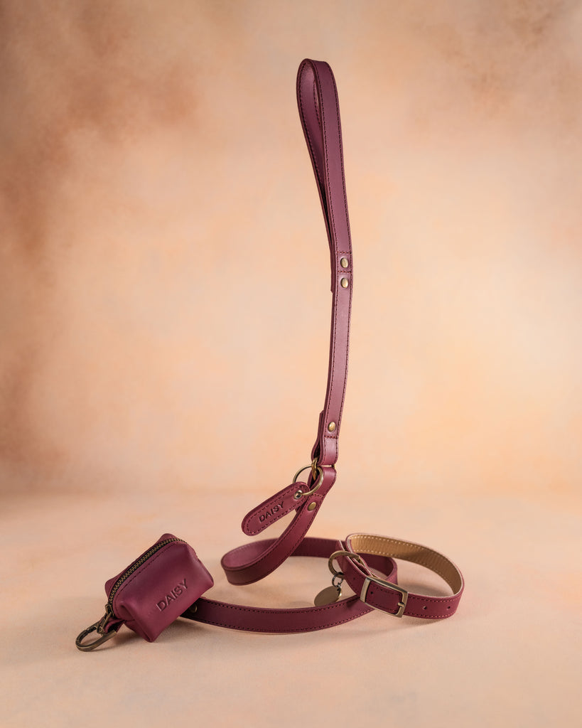 Dog Collar in Sangria leather with classy pin buckle