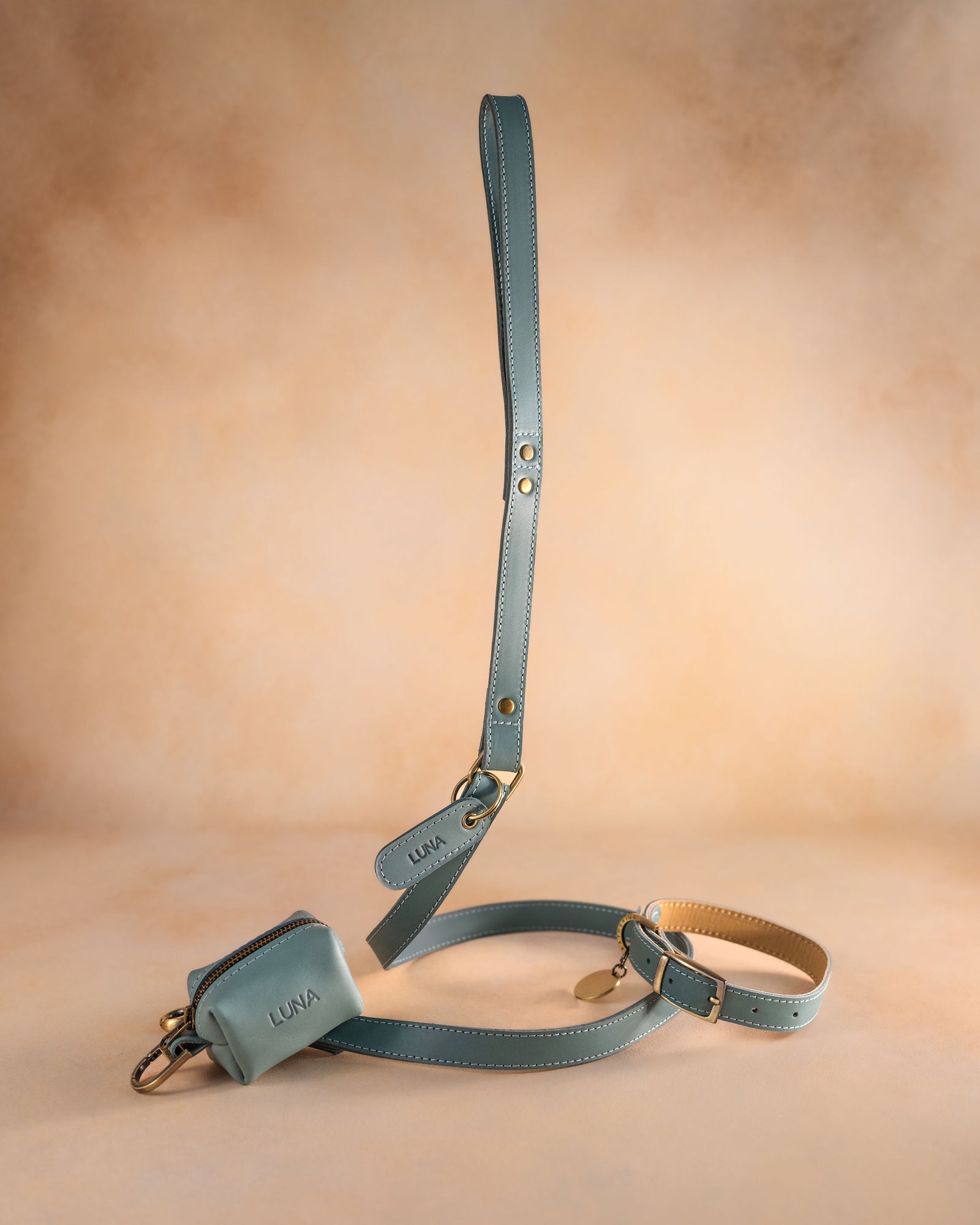 Dog Collar in Turquoise leather with classy pin buckle