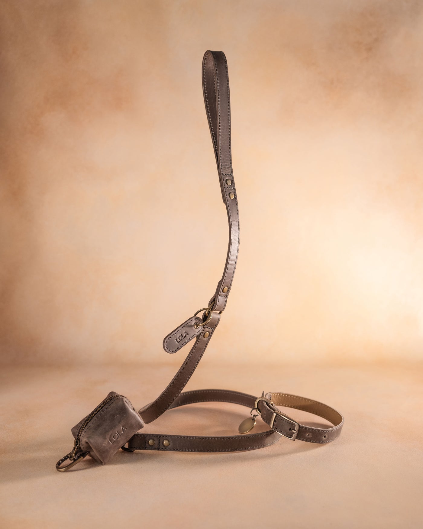 Leather dog collar with name