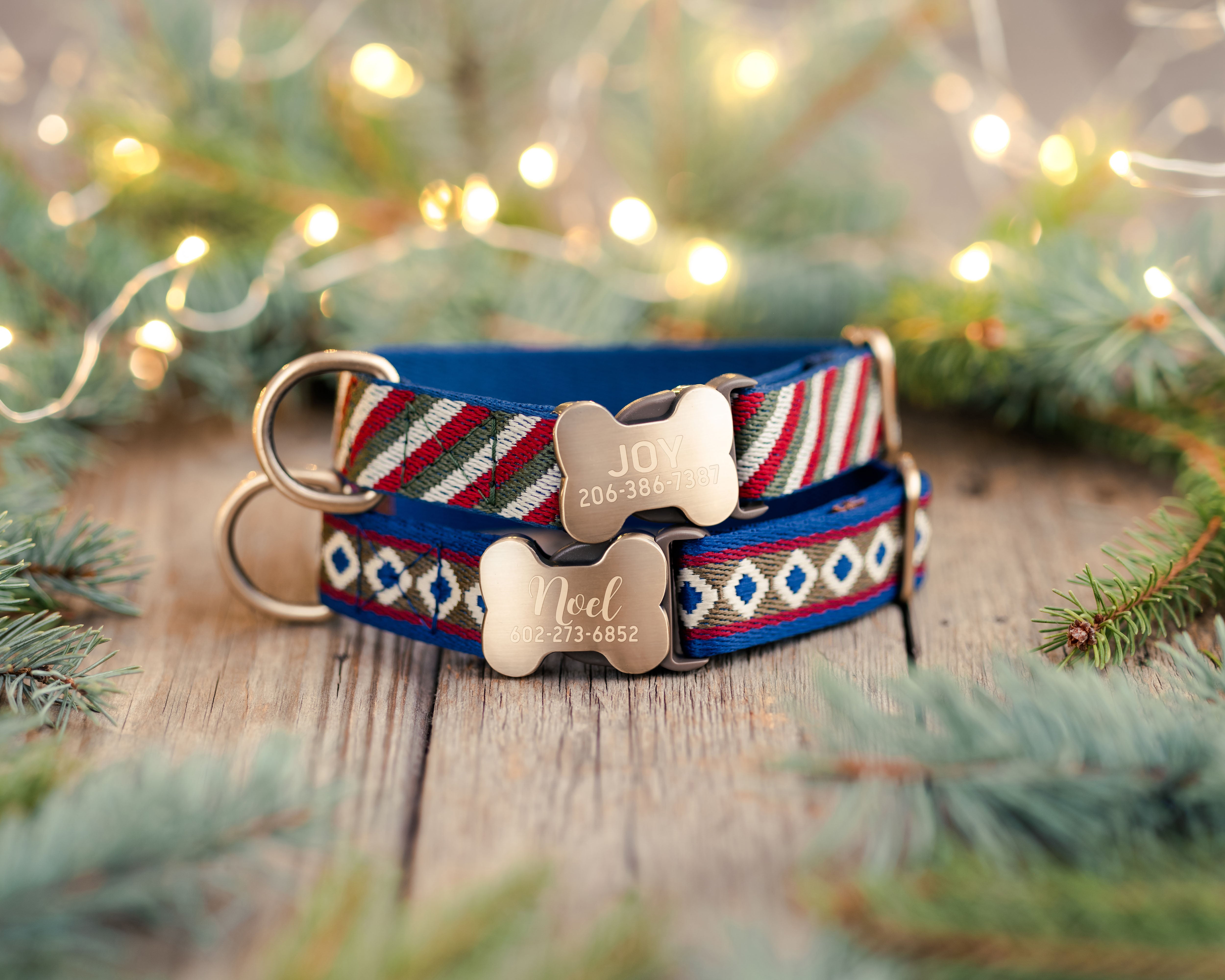 Christmas Special Dog Collar Gift Set