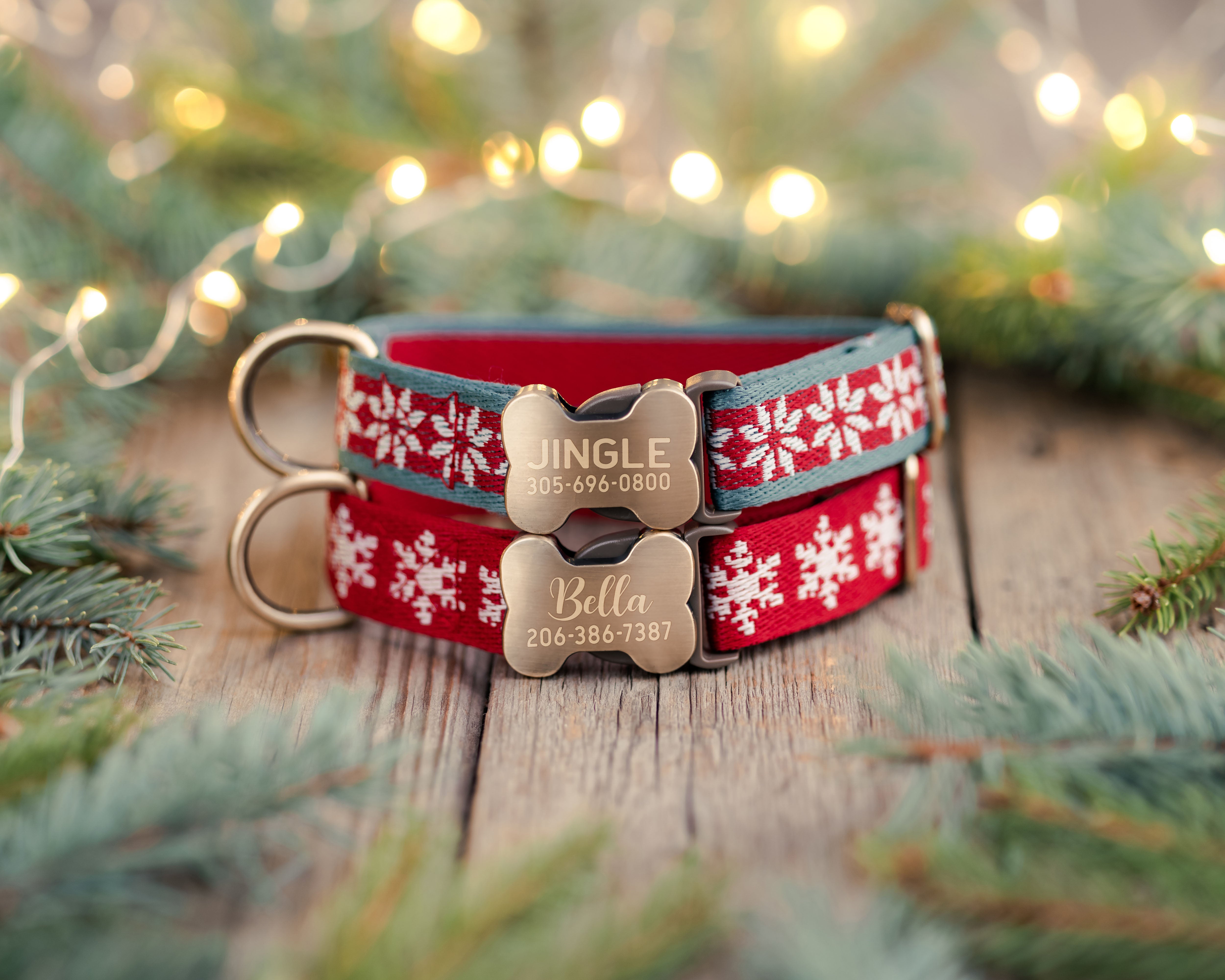 Christmas Special Dog Collar Gift Set