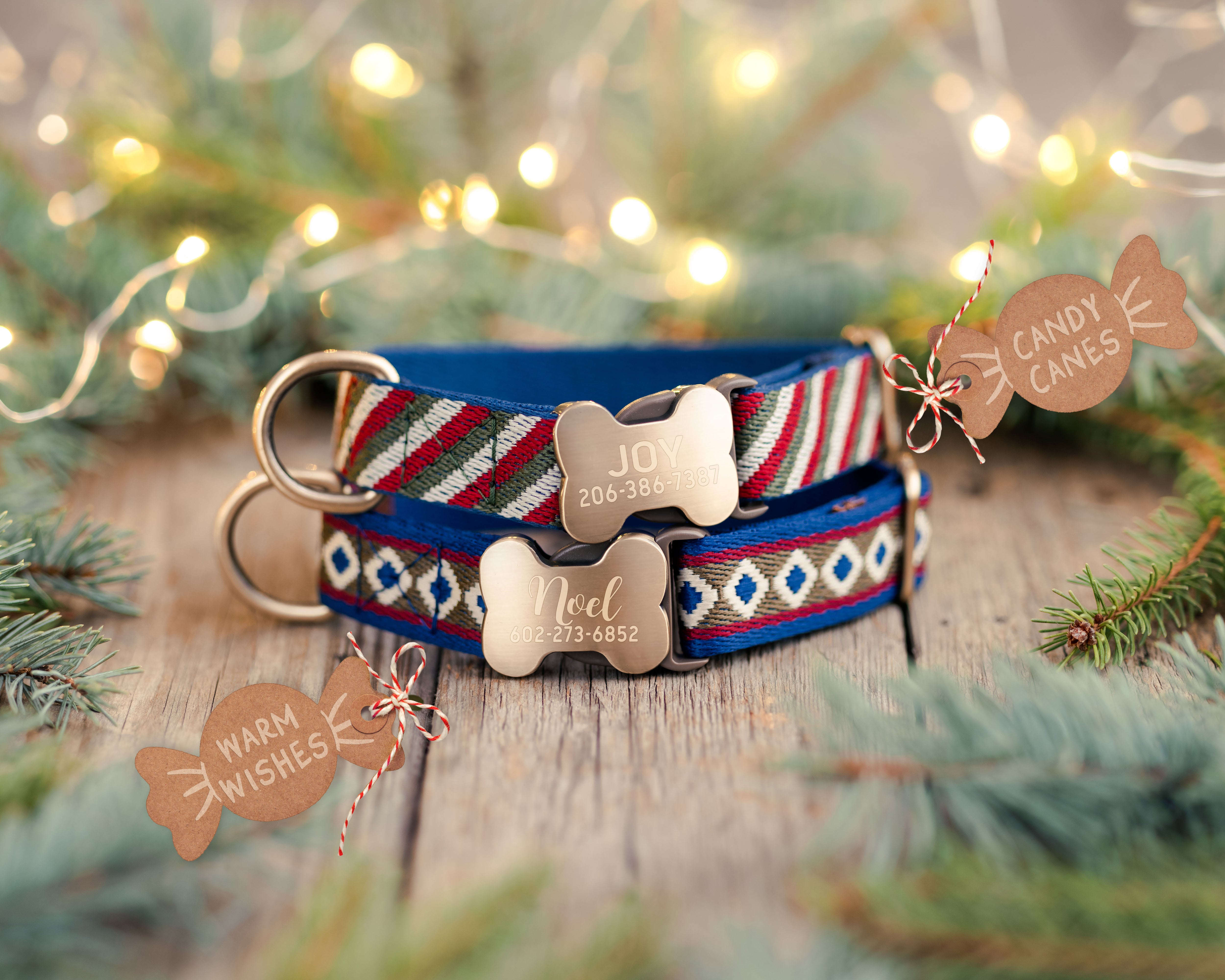 Christmas Special Dog Collar Gift Set
