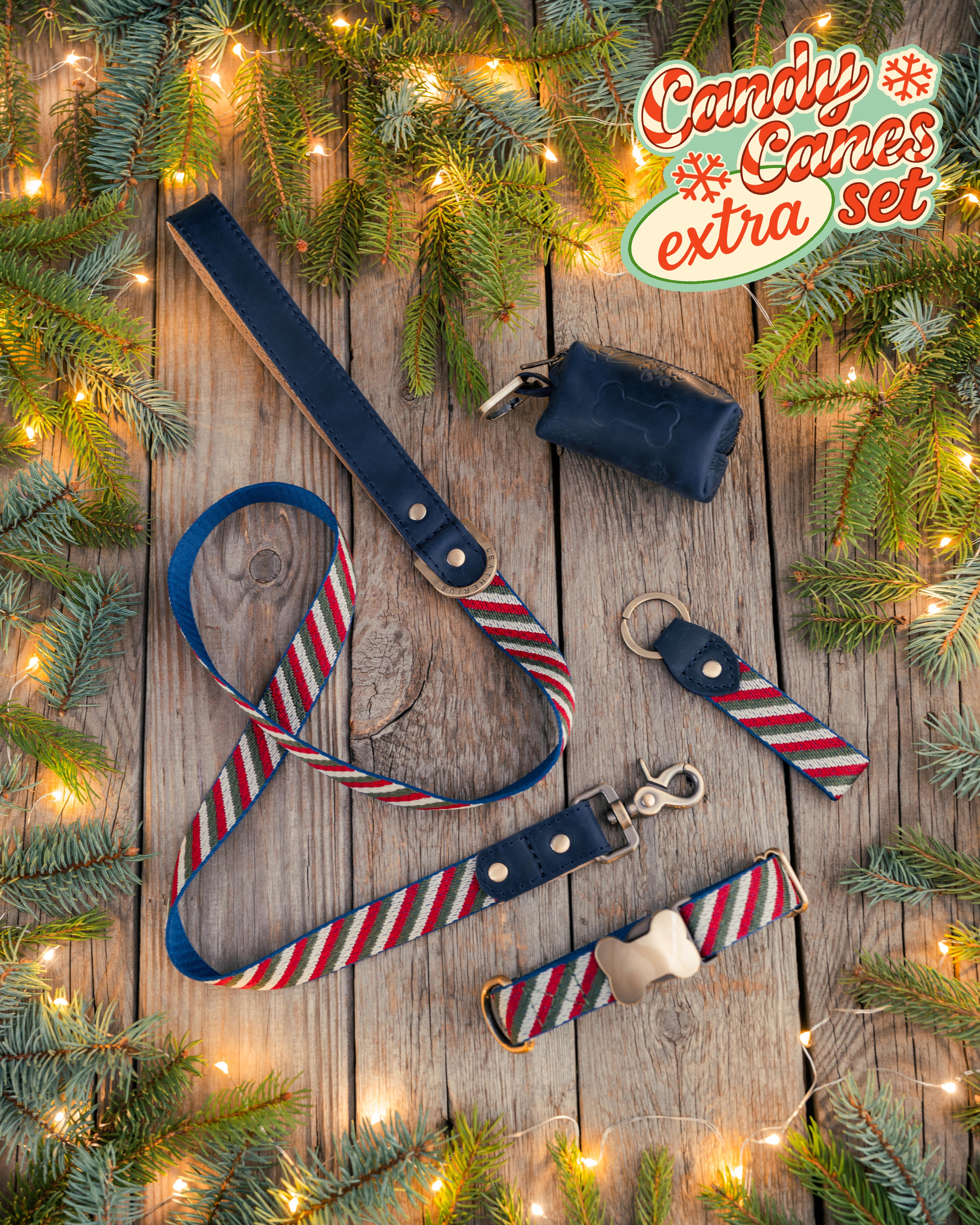 Christmas Special Dog Collar Gift Set