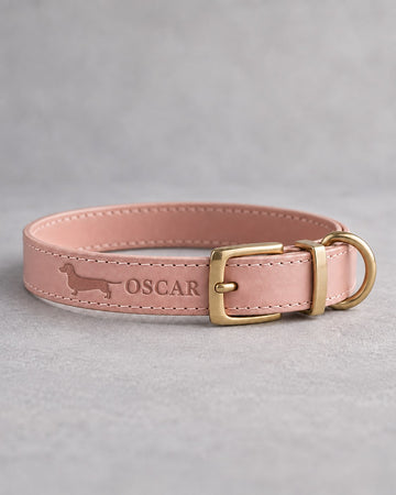 Blush pink leather dog collar debossed with a dachshund silhouette and the name OSCAR, brass pin buckle