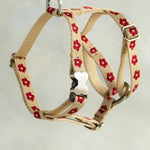 Thin webbing harness for small dogs, Poppy Posy design (red flowers on butter cream), with an engraved bone buckle