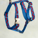 Thin webbing harness for small dogs, Ric-Rac design (a red ric-rac wave on cornflower blue), with an engraved bone buckle