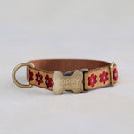 Webbing dog collar floral brown