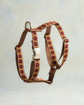 Webbing Dog Harness