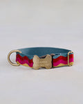 Engraved dog collar in variety of webbing designs