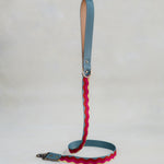 Matching Summer Waves leash with leather trim and a brass clip