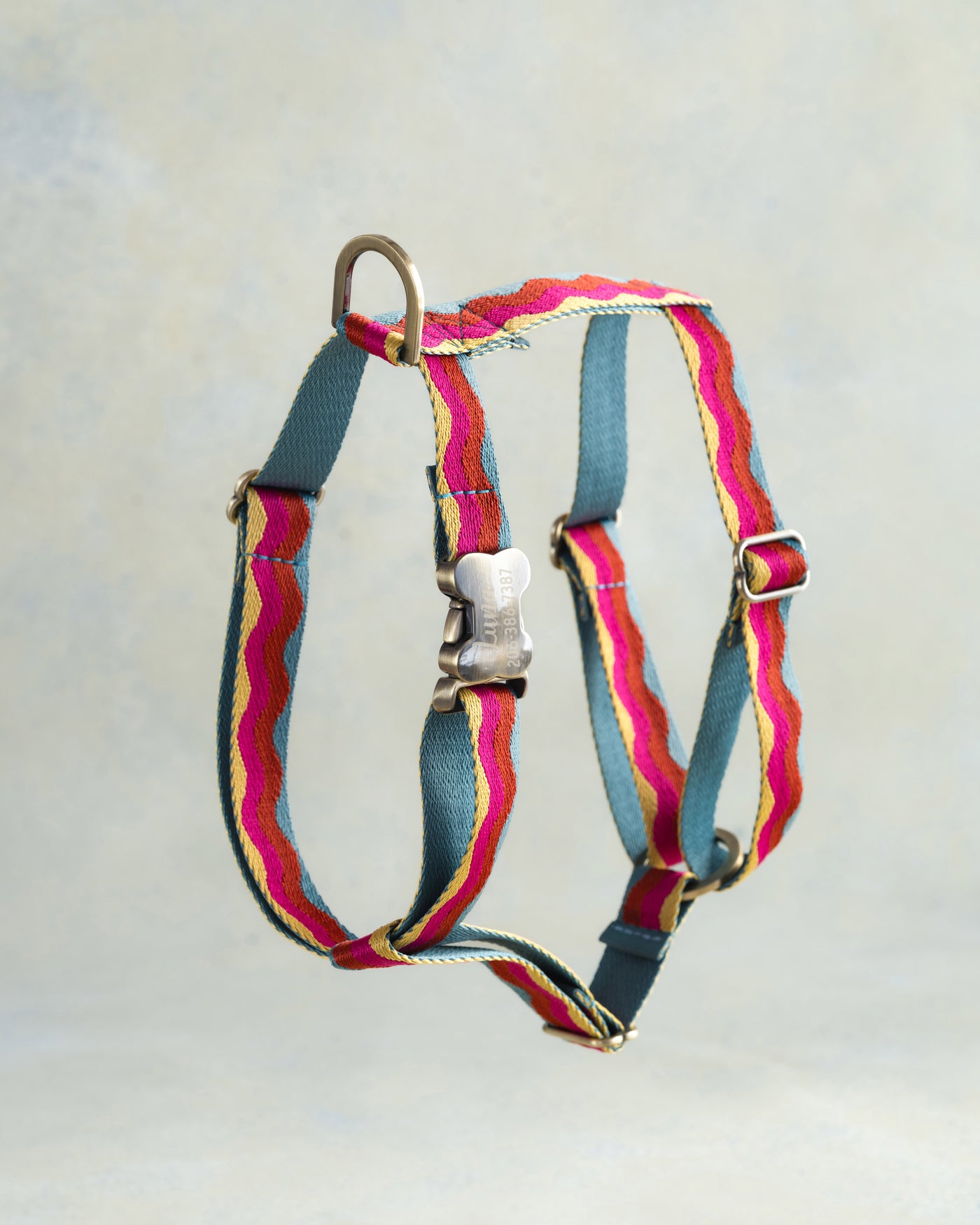 Webbing dog collar summer color