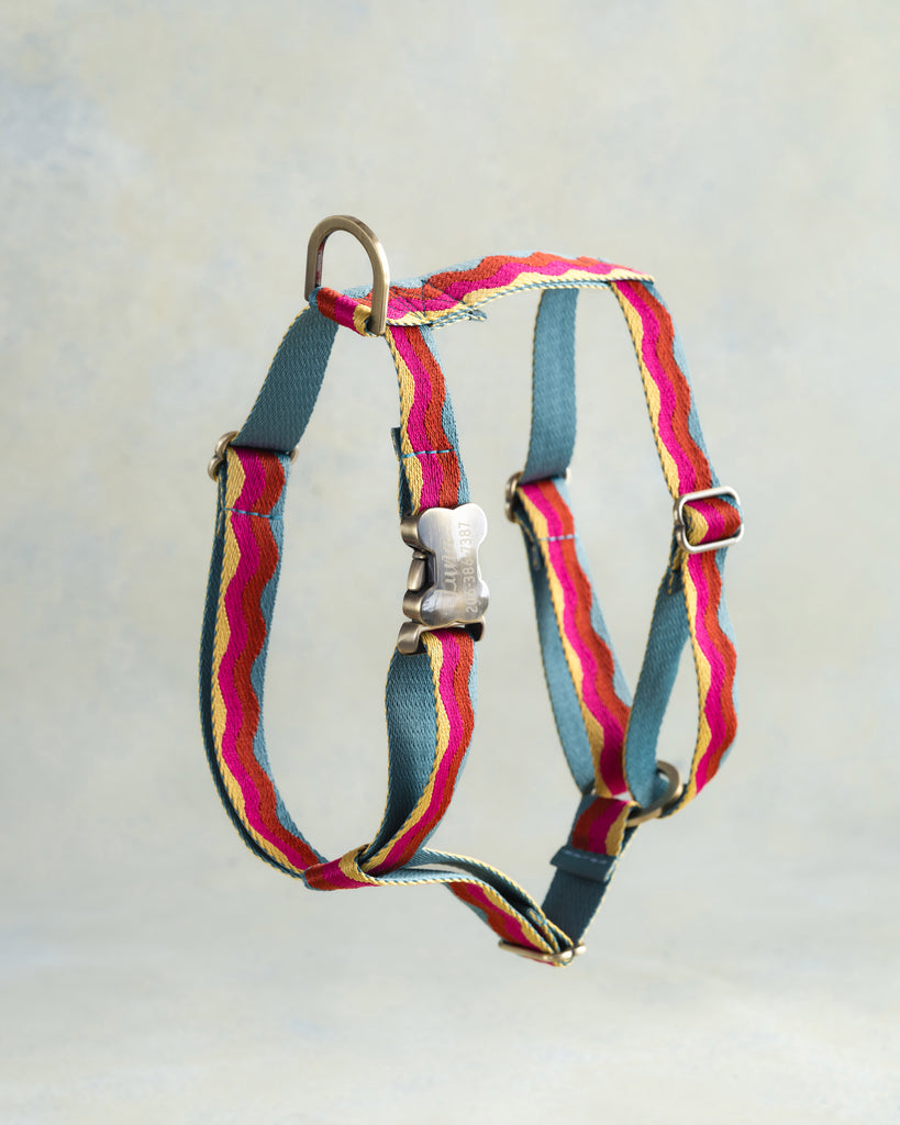 Webbing Dog Harness