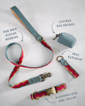 Webbing dog collar summer color