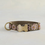 Custom dog collar