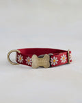 Engraved dog collar in variety of webbing designs