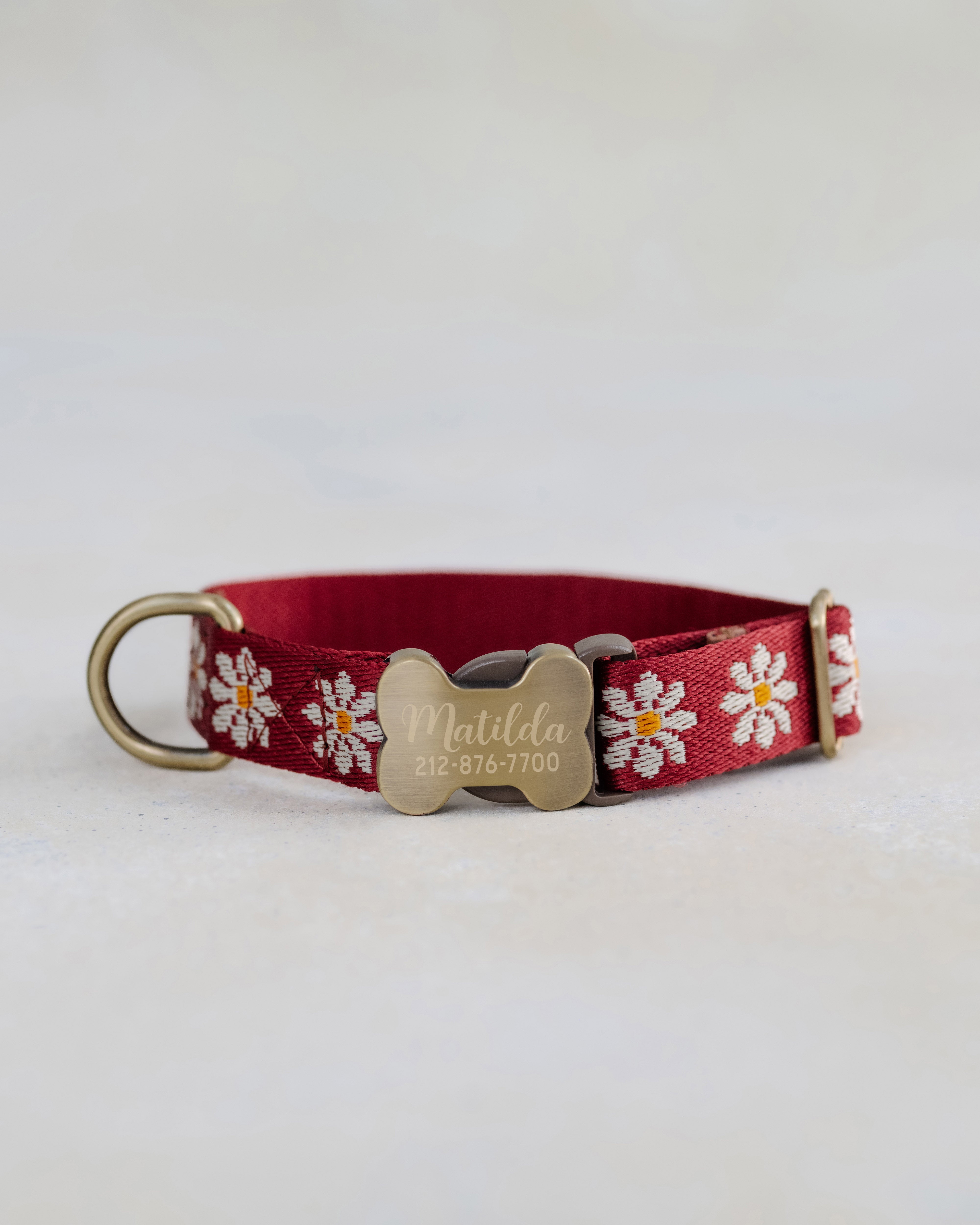 Ruby Red & White Daisies Designer Webbing Dog Collar