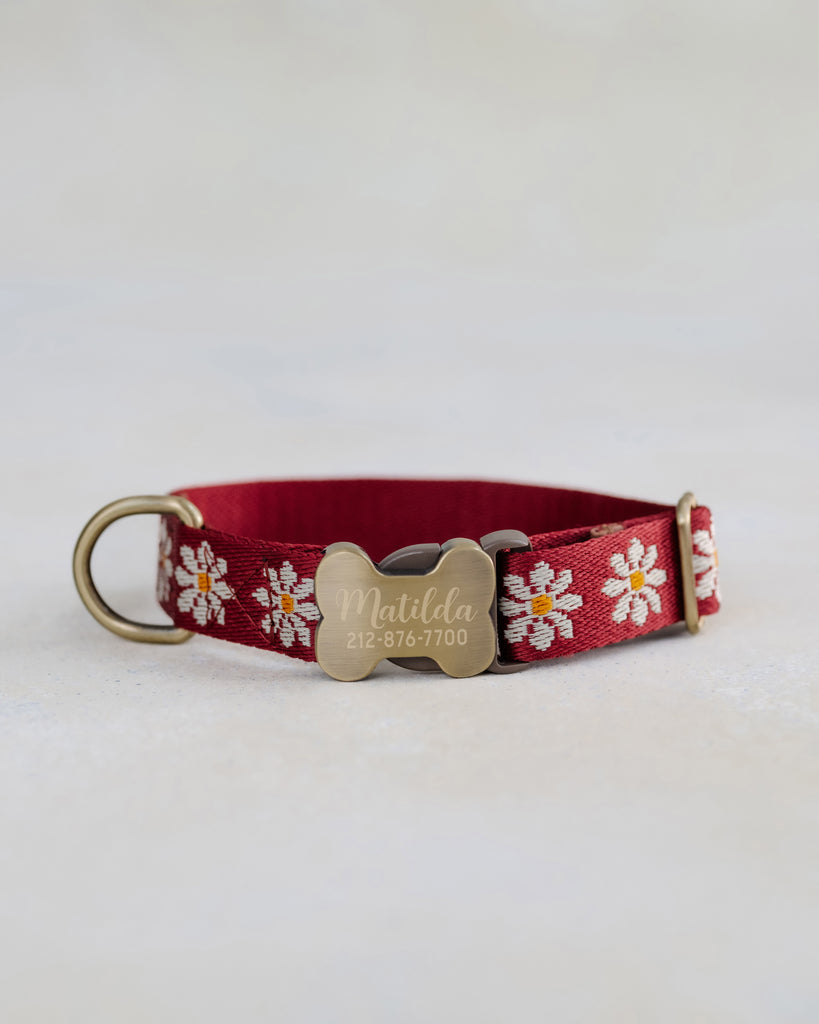 Ruby Red & White Daisies Designer Webbing Dog Collar